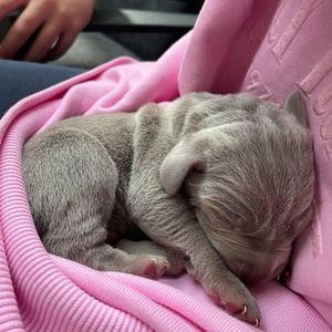 Meet your Posher, Simone